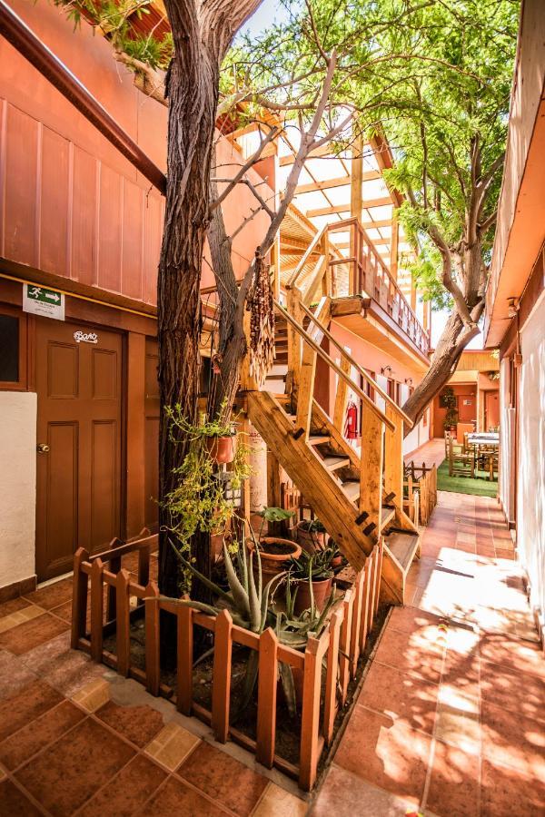 Hostal Sumaj San Pedro de Atacama Ngoại thất bức ảnh